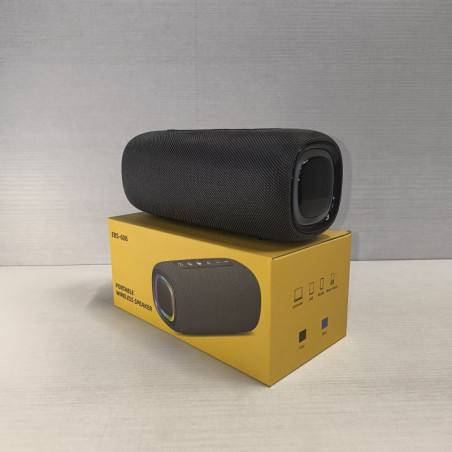 Enceinte Bluetooth 20W